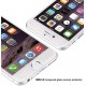Temper Glass iPhone 7